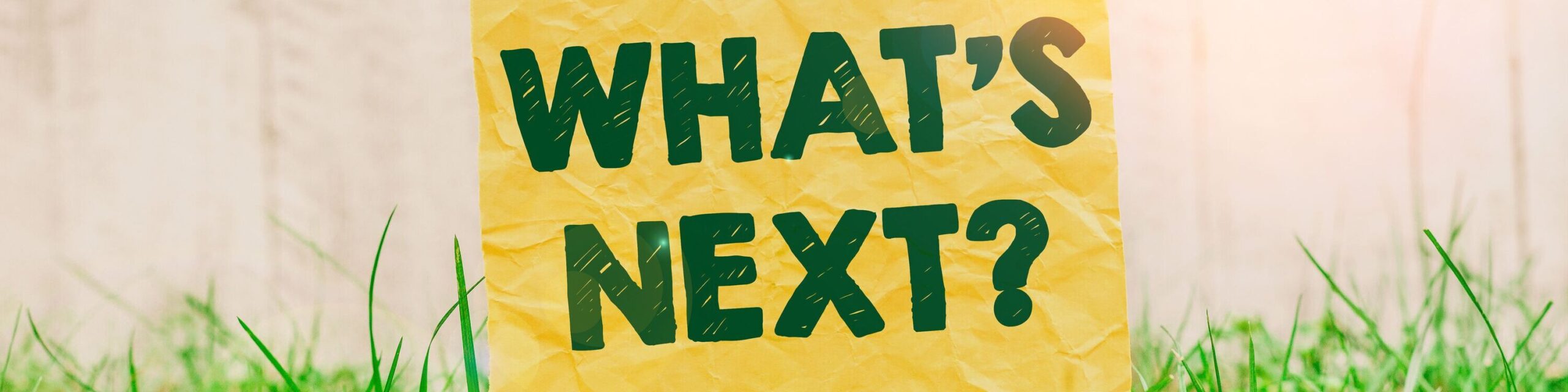 Schild what's next
