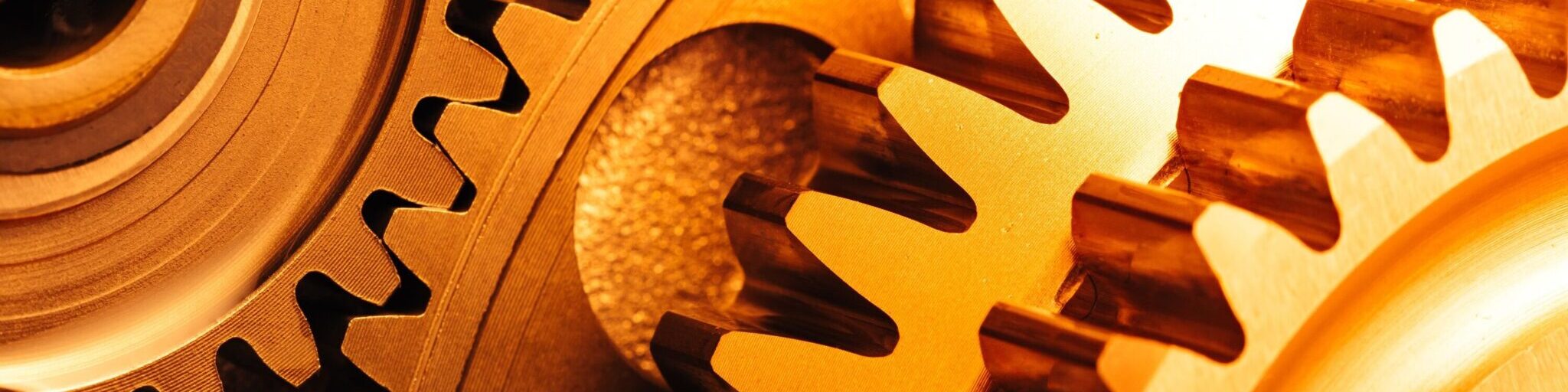 Goldene-Zahnraeder-scaled-aspect-ratio-16-7-2048x896